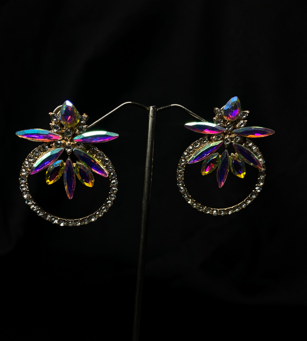 Silver-Toned Hoop Earrings With Multi Crystals